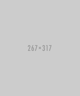img_footer_1_267x317
